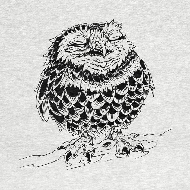 Little Owl by Ian Moss Creative